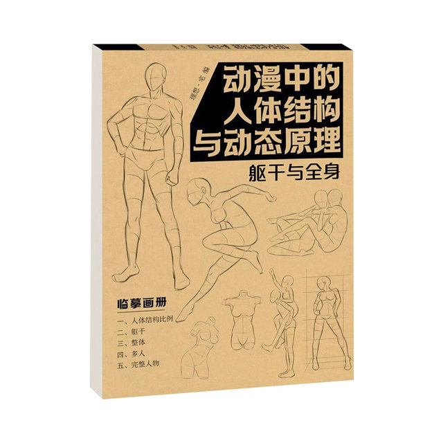 Human body structure and dynamic principles in animation 2-book set: Torso and whole body + head and limbs copying picture book Human body structure modeling pro art exercise book
