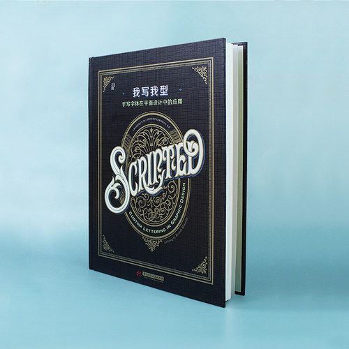 我写我型 手写字体在平面设计中的应用 创意手绘手写字体设计书籍 手绘手写艺术广告西文英文中文字体平面设计书籍作品集创意集 - 图1