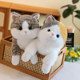 仿真小猫抱枕猫咪玩偶可爱趴趴猫公仔毛绒玩具儿童睡觉仿生布娃娃