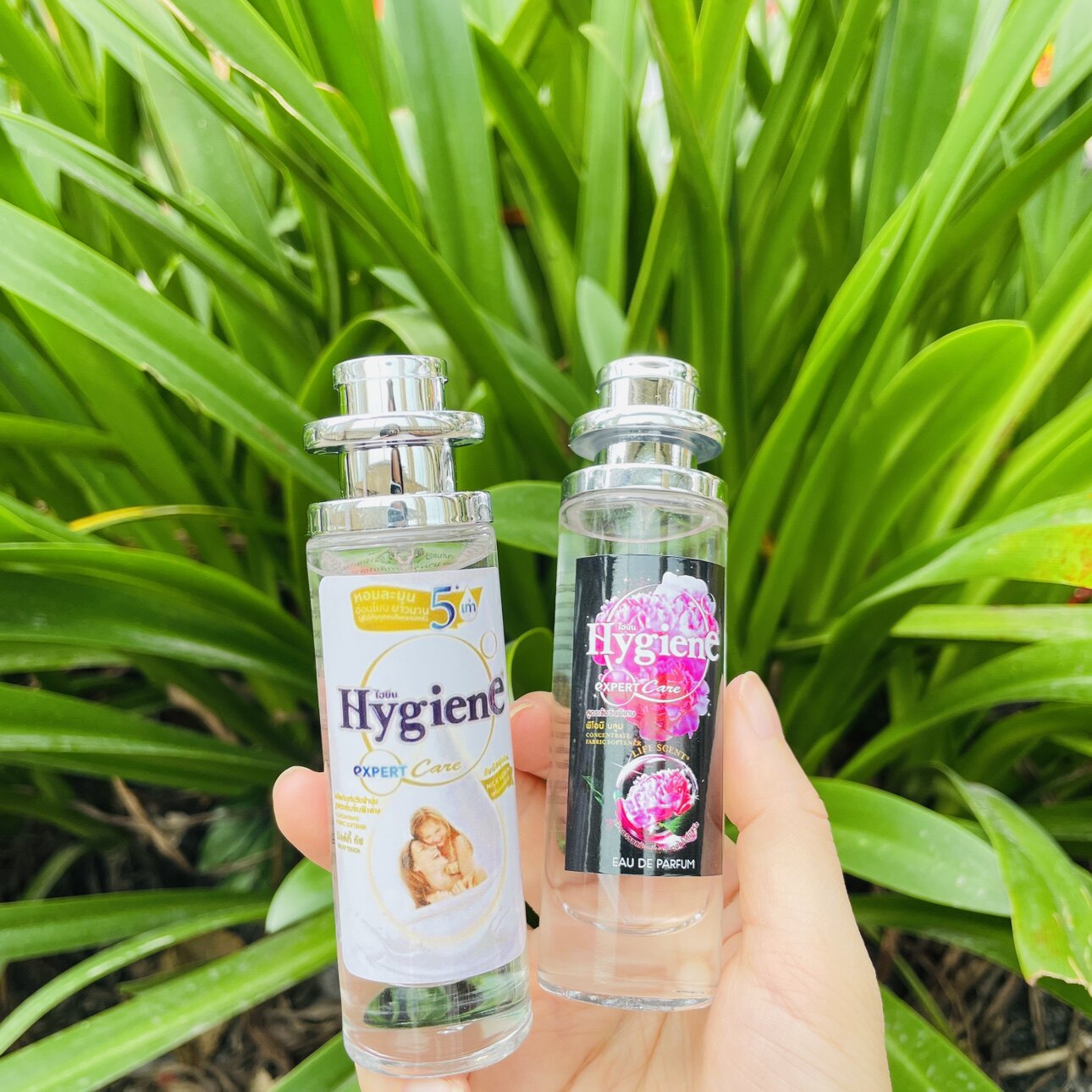 真的好香！！泰国进口Hygiena香水芍药花香宝宝奶香衣物香氛香水