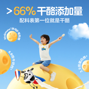法优乐66%干酪奶酪棒A2-β-酪蛋白4袋*5支