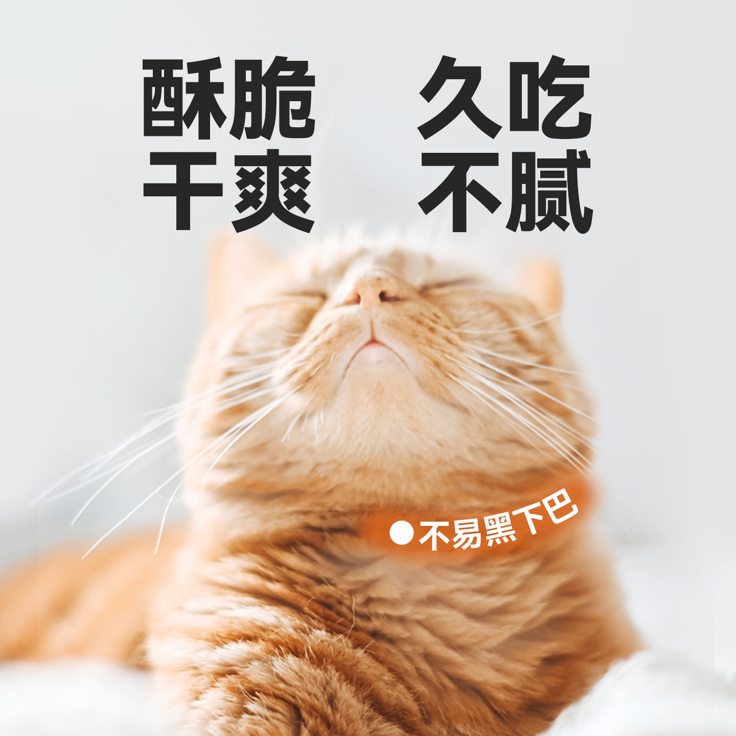 有鱼烘焙猫粮鲜肉无谷成猫粮幼猫增肥发腮营养0肉粉1.5kg全价低温,淘宝优惠券,粉丝福利购,淘宝优惠卷