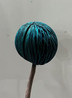 巴西进口裂纹果帝王球干果手工摆件落地插花装饰摆件干花千纹果