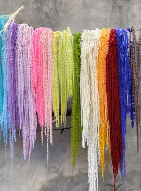 永生吊米干花手工插花墙面装饰手捧婚庆客厅摆件花瓶垂吊diy花材