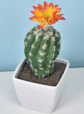Cute Cactus Potted Mini Artificial Green Cactus DIY Microlan