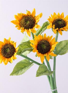 Its like sunflowers, sunflowers, INS, and were celebrating
