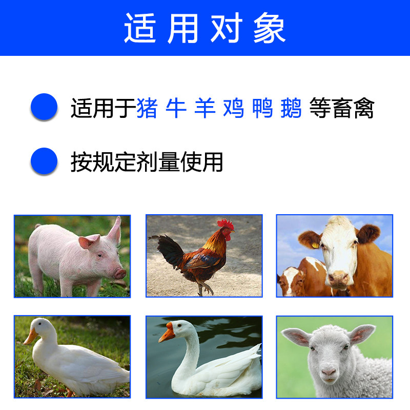 兽用超浓缩鱼肝油粉维生素家畜家禽通用拌料饲料添加剂兽用补钙包虎窝淘 