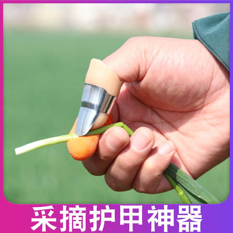 摘菜手指套指甲套摘菜剥毛豆神器择菜指套拇指刀择菜神器剥蒜指甲 - 图2