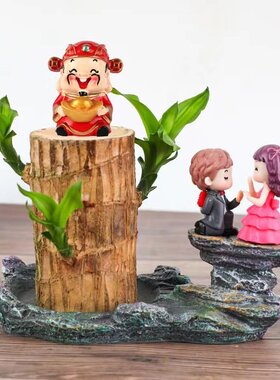 巴西木配件格鲁特小和尚幸运木好养水培植物组合桌面盆栽装饰BN17