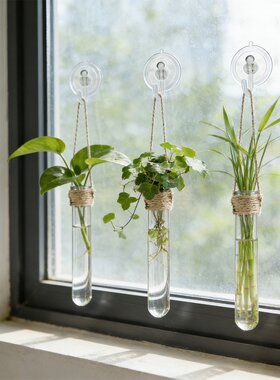 壁挂试管花瓶家居装饰麻绳悬挂水培试管免打孔墙面装饰套装QW88