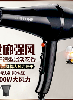 欧斯盾D8820恒温护发速干吹风机