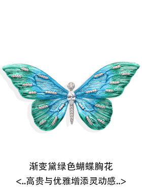 色蝴蝶胸针胸花配饰外套别针