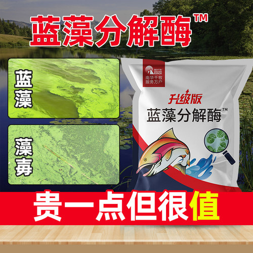 蓝藻分解酶除蓝藻分解素速灭鱼虾塘水产养殖除藻剂生物蓝藻一泼净 - 图1