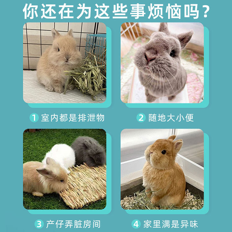 兔子尿垫宠物仓鼠芦丁鸡荷兰猪尿不湿兔笼子隔尿垫片纸一次性用品,淘宝优惠券,粉丝福利购,淘宝优惠卷