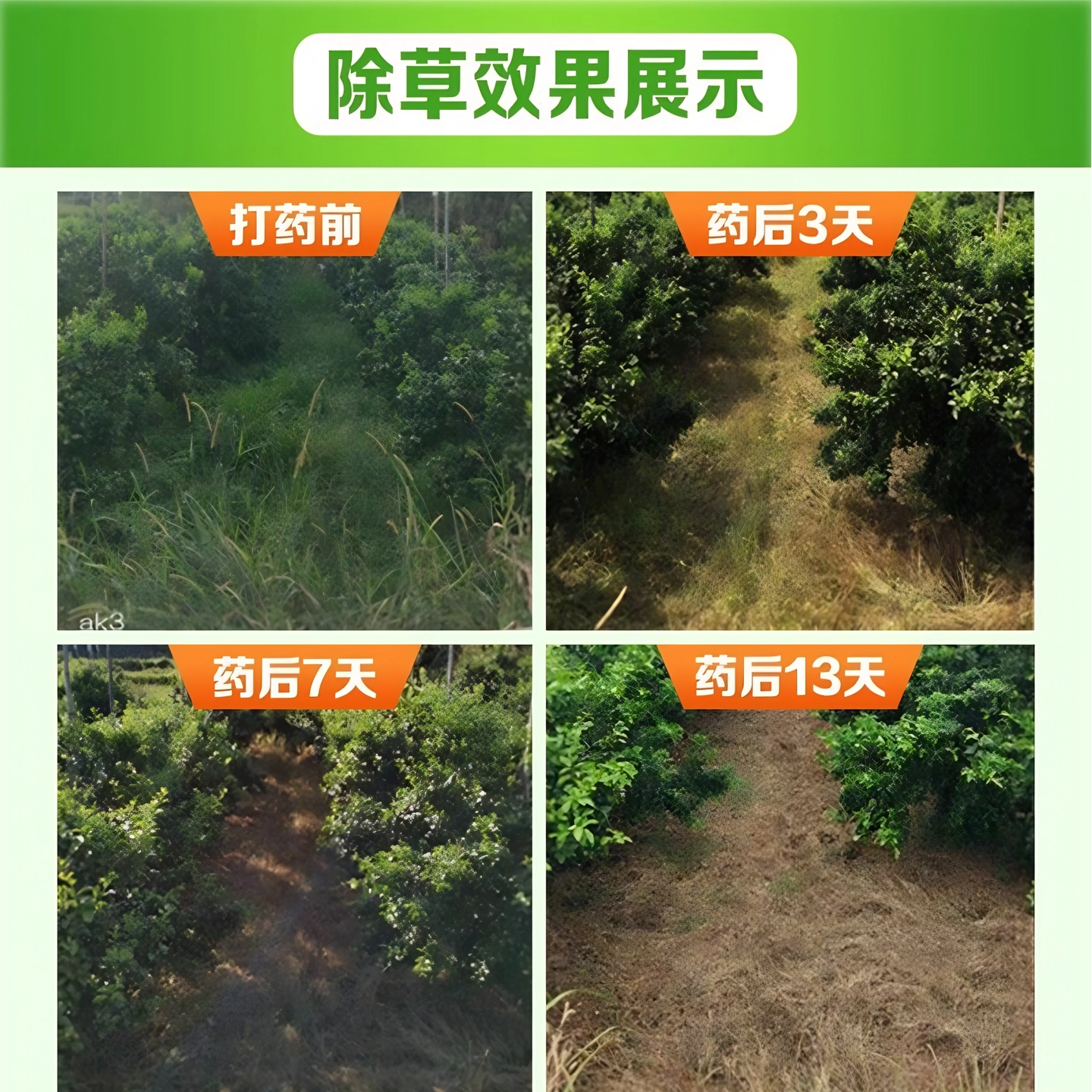 草铵膦农药除草剂大丰收惠选 草胺磷除草杂草 果园打草农药锄草剂,淘宝优惠券,粉丝福利购,淘宝优惠卷