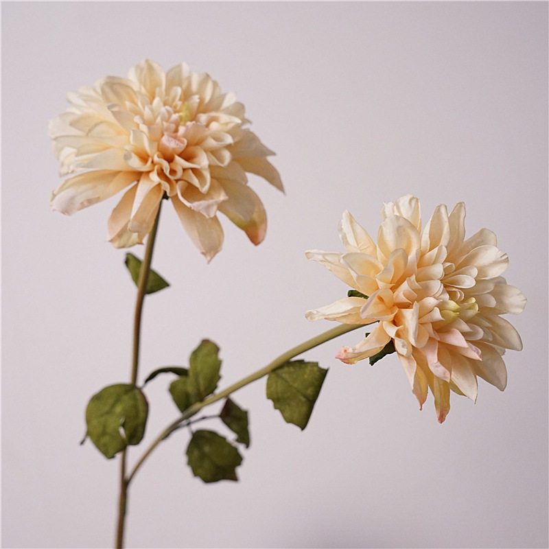 高级感芙蓉大丽花仿真花假花客厅餐桌花艺家居样板间装饰插摆件,淘宝优惠券,粉丝福利购,淘宝优惠卷