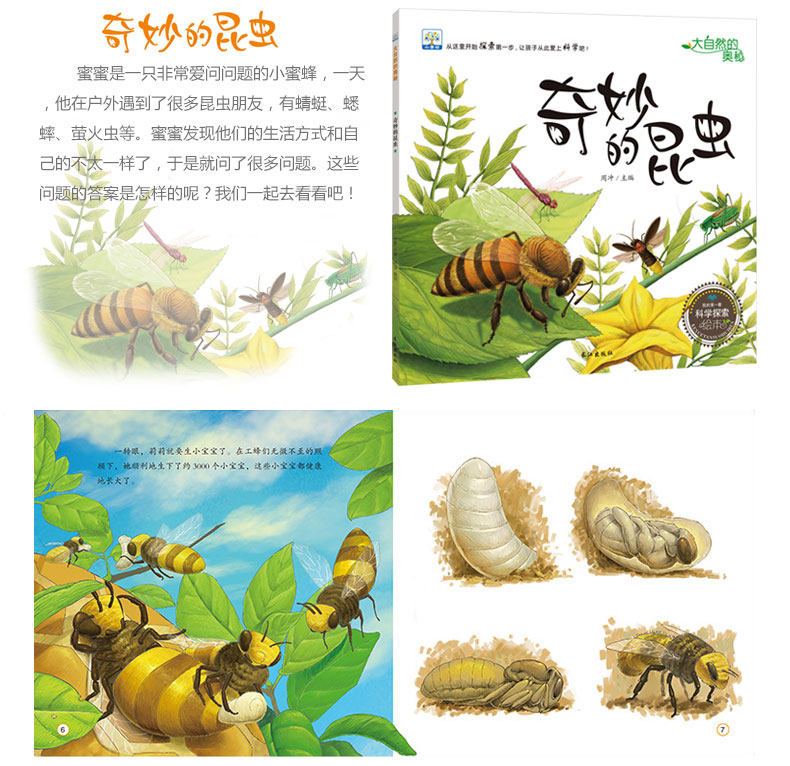 小果树科学探索绘本系列大自然的奥秘 全套5册奇妙的昆虫3-4-6岁幼儿故事书幼儿园儿童科普读物动物植物科学探索启蒙认知百科全书
