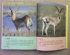 4 copies of 39 yuan free shipping Animal Big Book Exquisite Graphics Hardcover Color Edition Ivy Series Popular Science Genuine Encyclopedia World Encyclopedia Children's Extracurricular Reading Books Daquan Children's Books My Wild Animal Friends