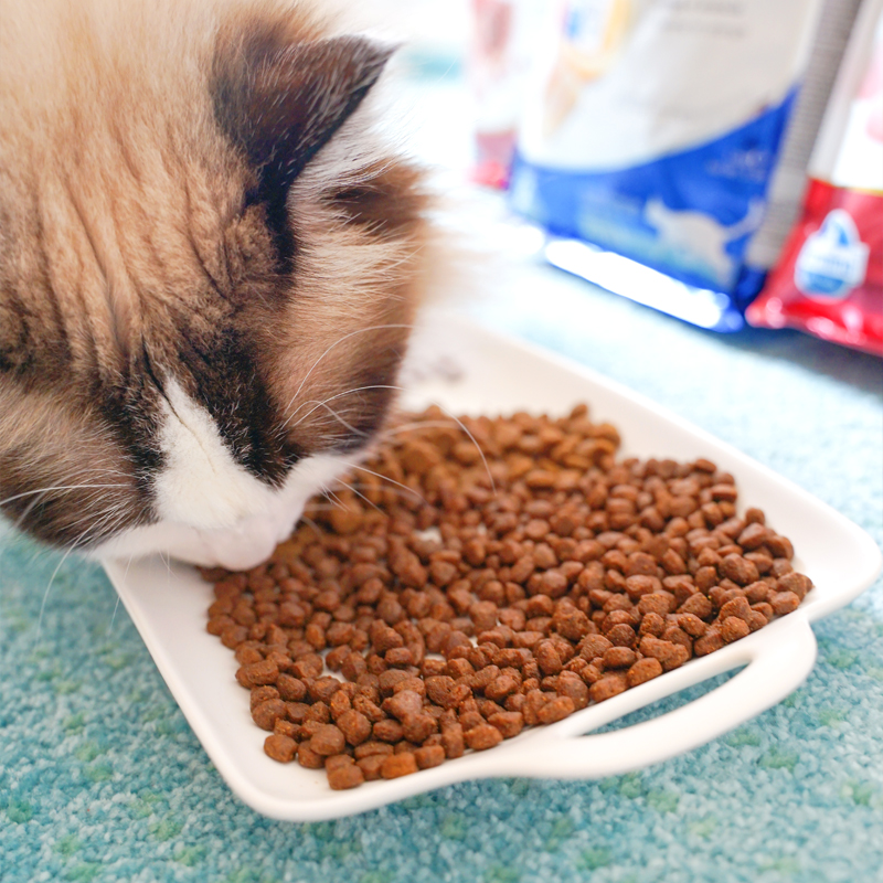 仲夏夜 Farmina法米娜法明娜猫粮石榴鸡无谷低敏高蛋白成猫幼猫粮 - 图2