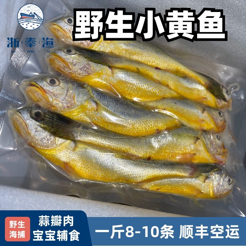 浙奉渔野生大黄鱼小条舟山野生小黄鱼新鲜海捕黄花鱼深海冰鲜新鲜,淘宝优惠券,粉丝福利购,淘宝优惠卷