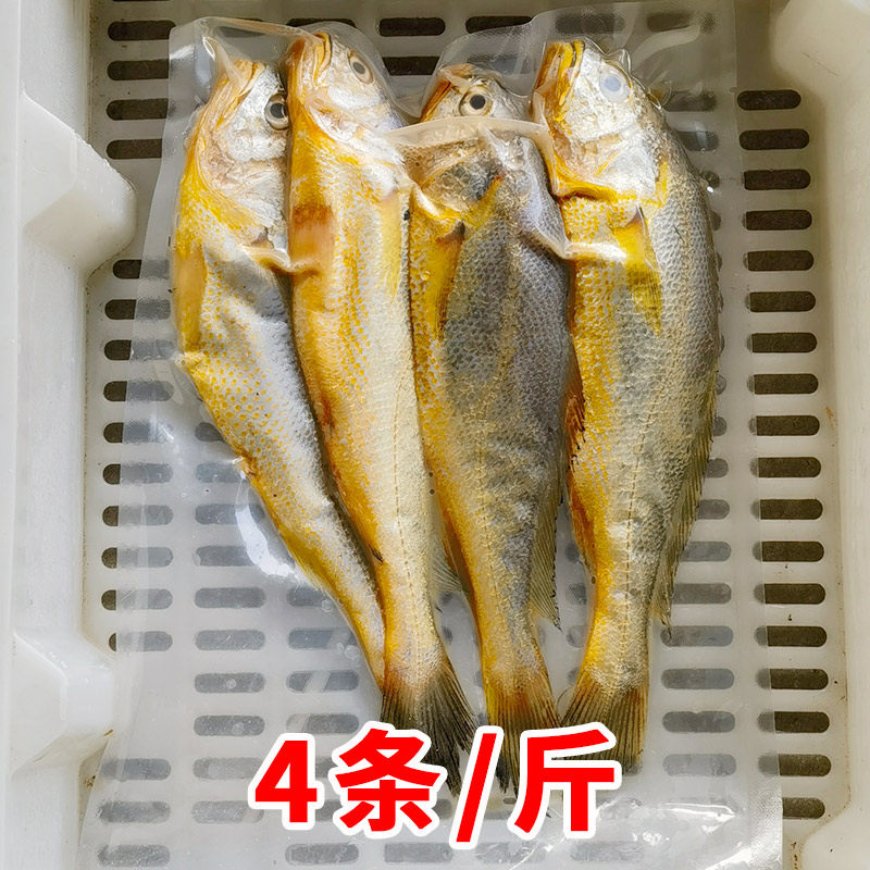 【新鲜冷冻】舟山野生中条黄鱼23两年货海鲜鲜活水产东海浙江宁波,淘宝优惠券,粉丝福利购,淘宝优惠卷