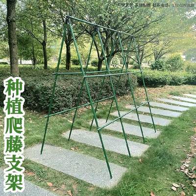 花支架爬藤架牵引绿萝花支柱支架杆竹子户外菜园花木植物花撑 虎窝淘
