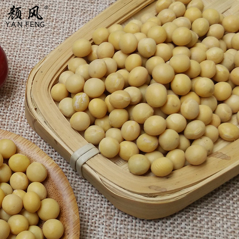 颜风黄豆农家新货东北粗粮大豆干货 颜风黄豆