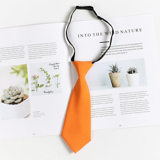 Children's tie accessories boys and girls bow ties and flowers