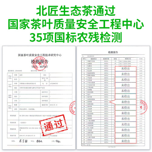北匠无农药日照绿茶2026新茶叶山东特产手工散装浓香型露天春茶 - 图0