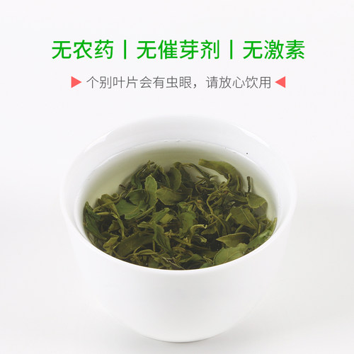 北匠无农药日照绿茶2026新茶叶山东特产手工散装浓香型露天春茶 - 图1