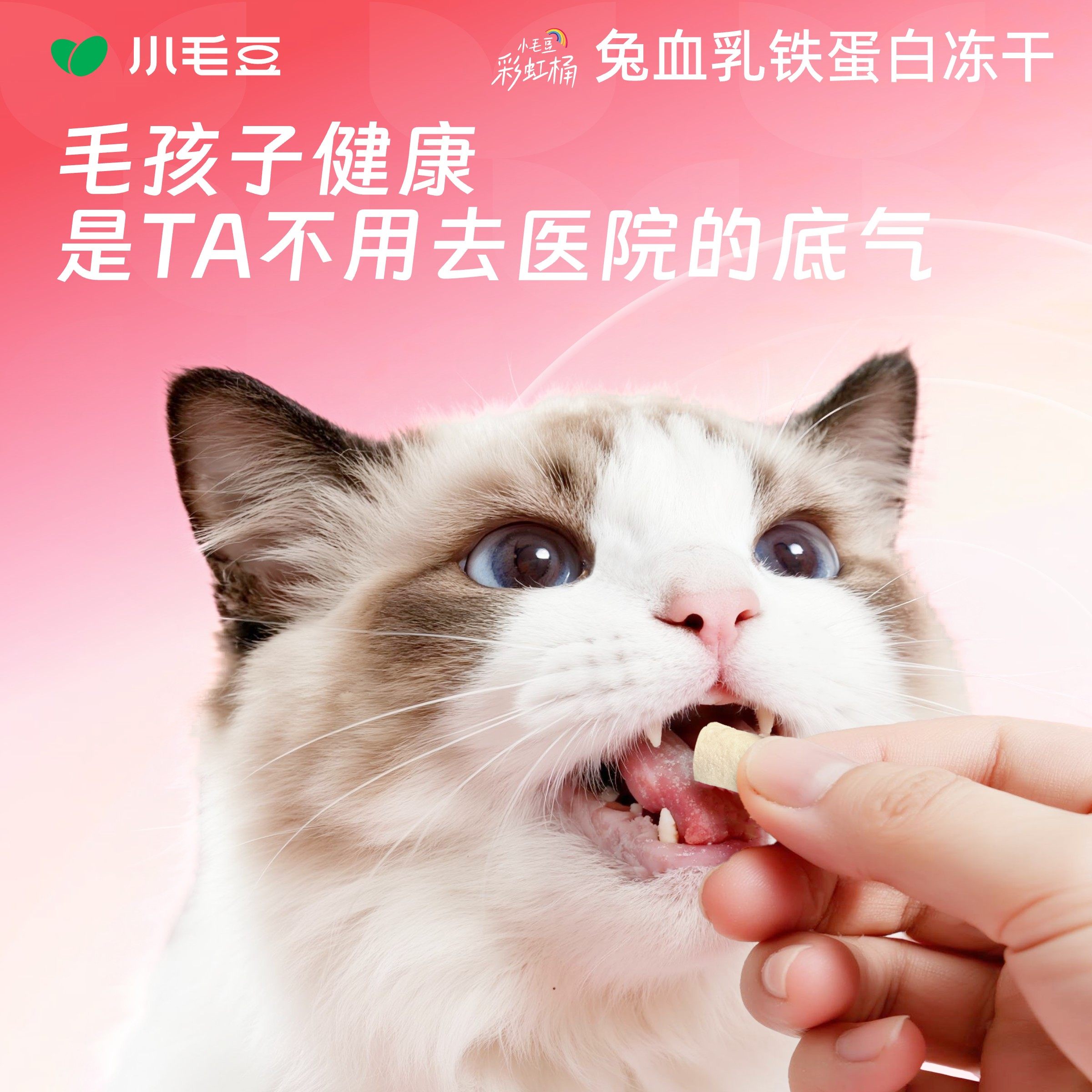 小毛豆兔血乳铁蛋白彩虹夹心冻干桶孕猫术后恢复补血补气零食冻干,淘宝优惠券,粉丝福利购,淘宝优惠卷