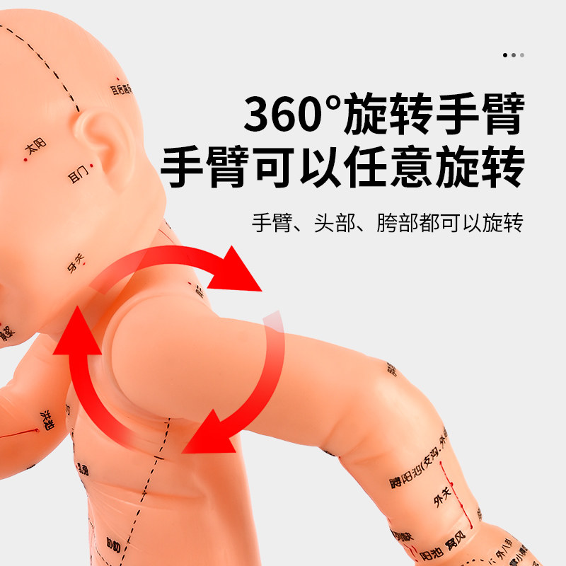 全身穴位娃娃经络图按摩书中医小儿推拿教学保健月嫂培训宝宝模型