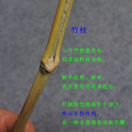 手工竹枝教鞭 柔性【复古牧牛鞭不伤筋骨】创意文玩竹编小品
