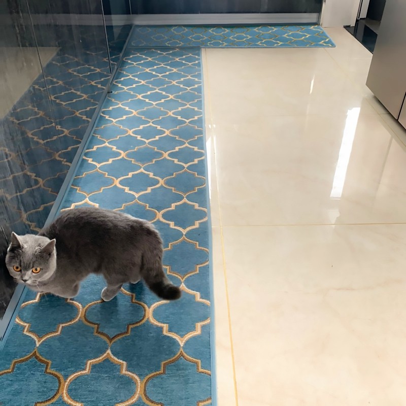 厨房地垫防滑防油地毯吸水脚垫家用垫子吸油防水耐脏新款门口专用,淘宝优惠券,粉丝福利购,淘宝优惠卷