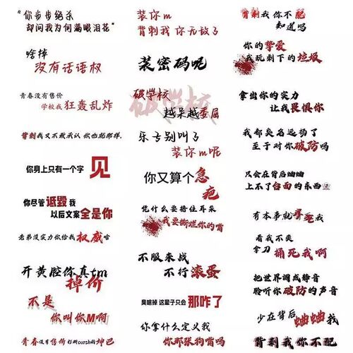 55张怼人文字贴纸权威语录抽象创意装饰手账手机电脑杯子diy贴画 - 图3