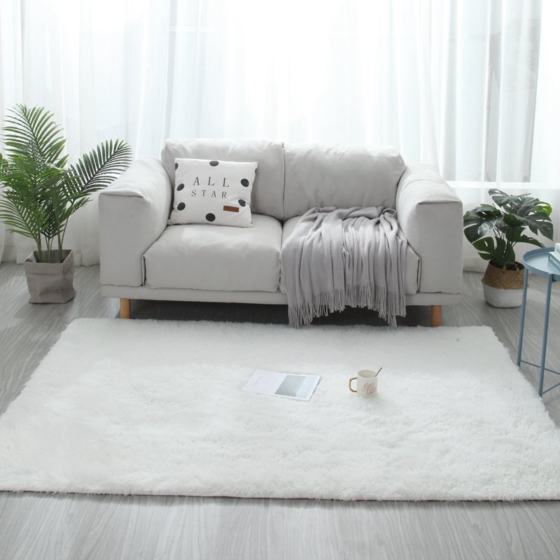 地毯北欧家用毛绒卧室房间满铺床边垫床前毯客厅沙发茶几定制地垫