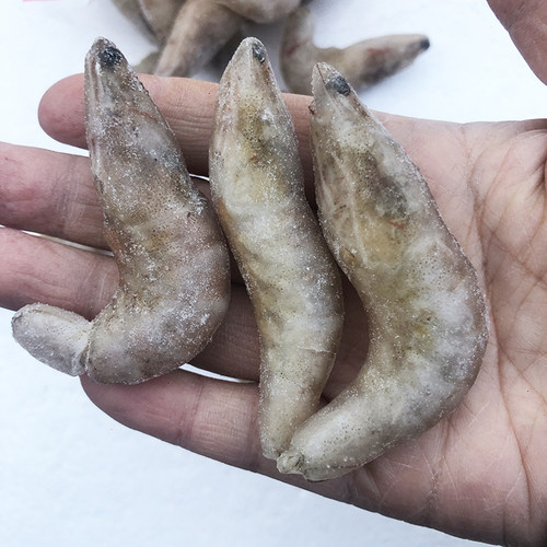 喂鱼冻虾龙鱼饲料专用鱼食河虾鱼食金龙鱼鱼食淡水虾冰冻冷冻 - 图3