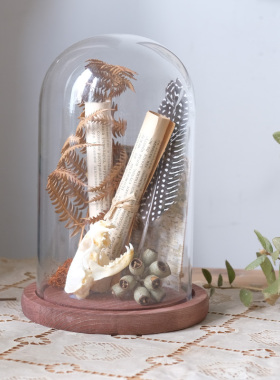 书房样板间玻璃罩科普植物摆件花艺植物主题永生花展示盒装饰品