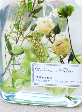 野地花园漂流瓶创意植物标本