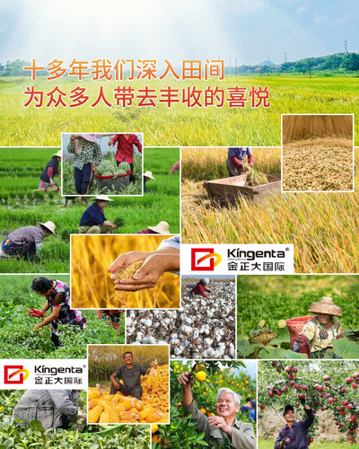德国compo硼钼叶面肥微量元素水溶肥水果蔬菜专用促花坐果冲施肥 - 图2