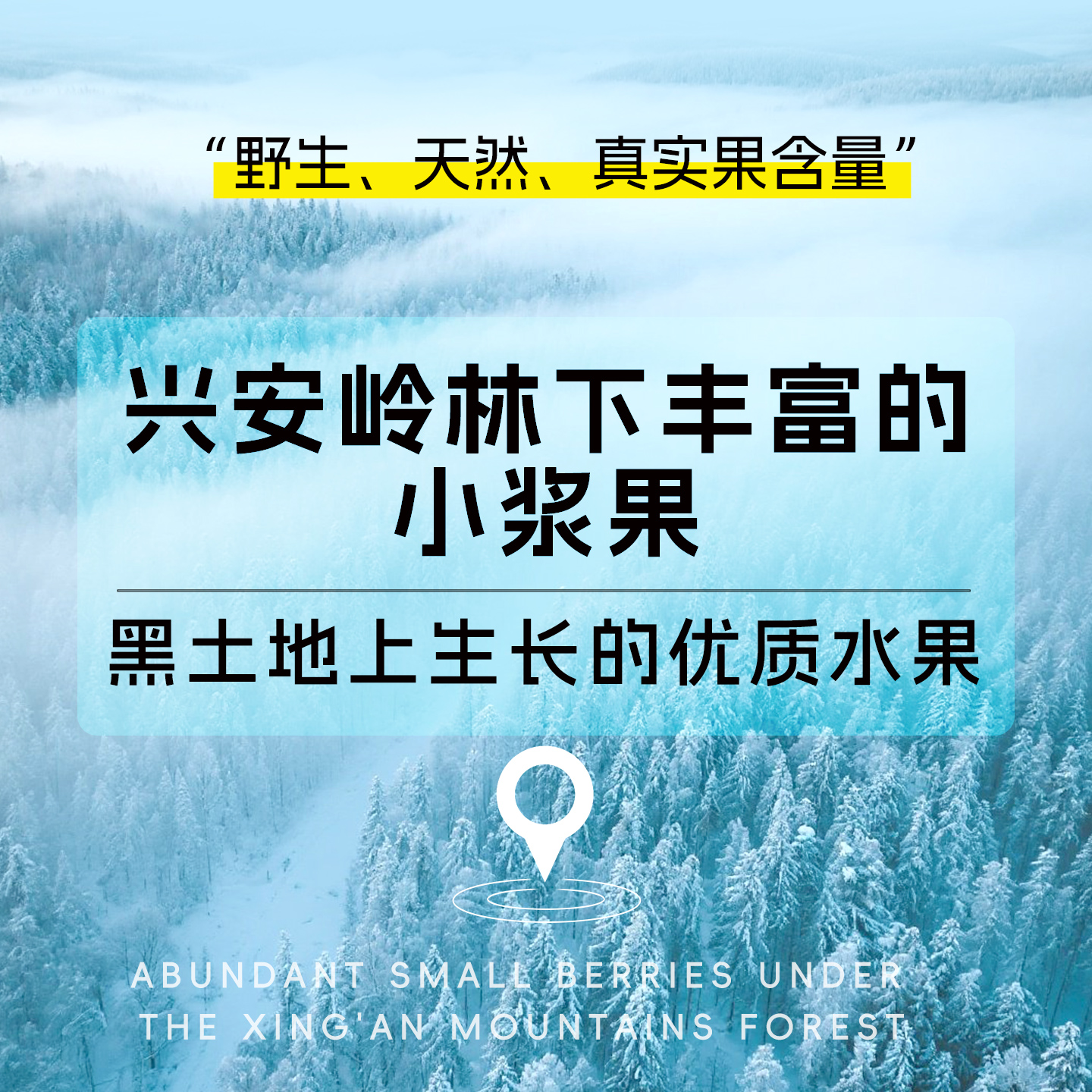果蔬汁非nfc果汁饮料冷饮品100%鲜榨果汁无添加水蓝莓汁棒冰沙棍 - 图2