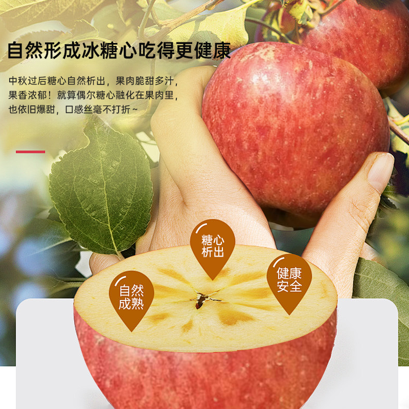 云南昭通糖心丑苹果脆甜多汁新鲜水果苹果孕妇宝宝当天采摘包邮,淘宝优惠券,粉丝福利购,淘宝优惠卷