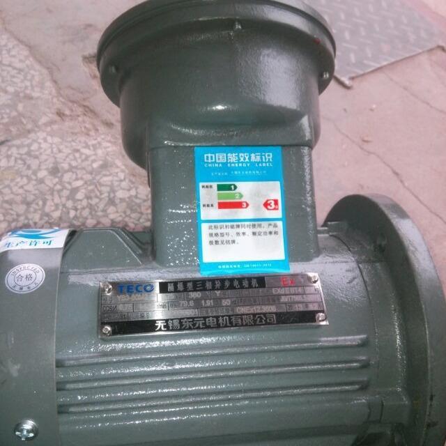 工厂直发 防爆马达电机YB380M2-4 1HP 0.75KW 立式 - 图2
