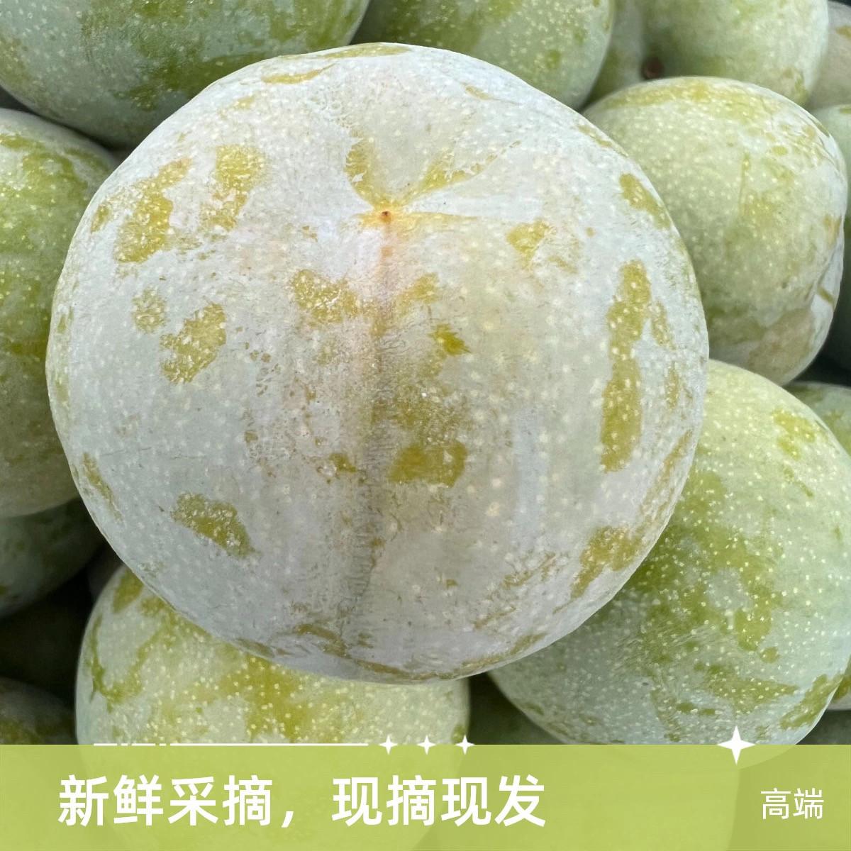 万州分水李子重庆巫山脆李新鲜水果5斤四川蜂糖空心青脆李脱骨李,淘宝优惠券,粉丝福利购,淘宝优惠卷