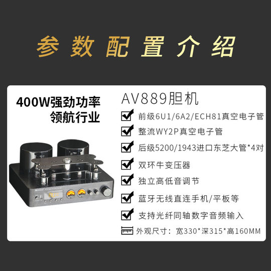 Fieberverstärker High Power Hifi U Disk Gallengang Dual Bull