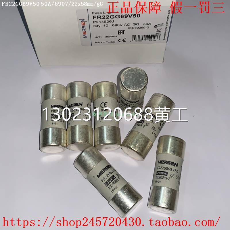 FR22GG69V32 FR22GG69V40 FR22GG69V50 FR22GG69V63 MERSEN熔断器 - 图0