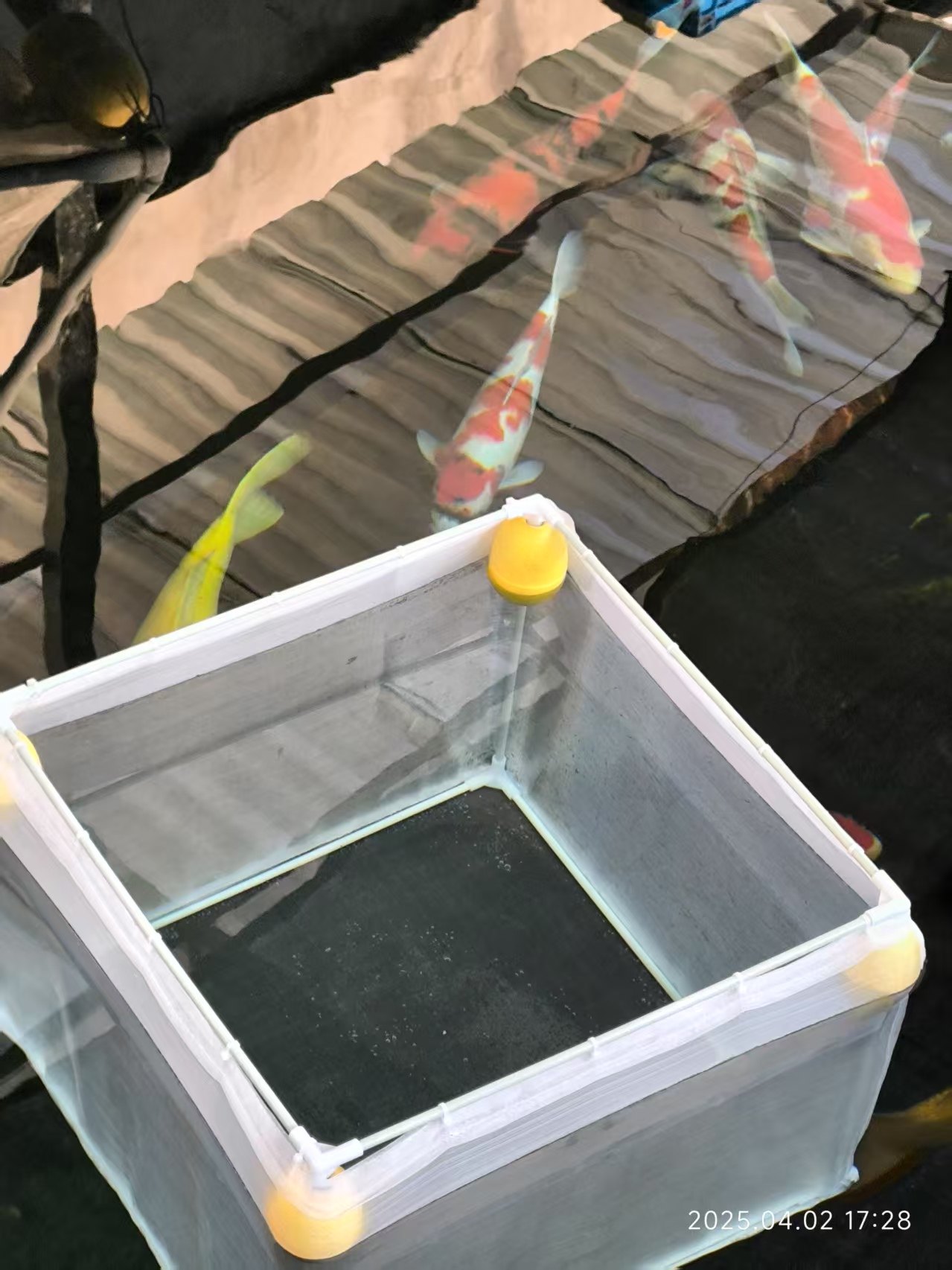 锦鲤水花专用孵化产卵育苗观赏鱼养鱼隔离存鱼网箱悬浮动漂鱼护厚,淘宝优惠券,粉丝福利购,淘宝优惠卷