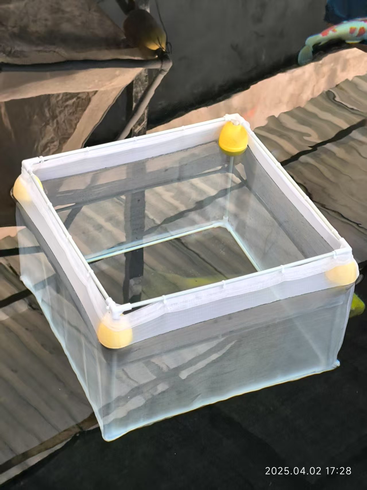 锦鲤水花专用孵化产卵育苗观赏鱼养鱼隔离存鱼网箱悬浮动漂鱼护厚,淘宝优惠券,粉丝福利购,淘宝优惠卷