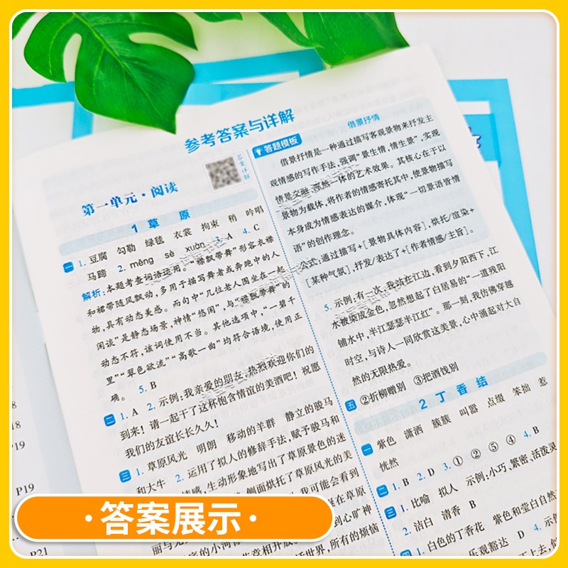 2026秋经纶学霸小学4星提高班一二三四五六年级上册下册语文数学英语人教版知识梳理思维导图达标测试卷基础巩固单元考点拆解训练