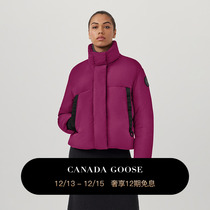 CANADA Goose Canada Goose Junction ladies short black mark down coat of goose jacket 2620WB